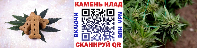 Купить закладки  Яранск  Canna-Cookies марихуана 