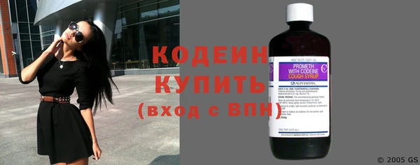 мет Бородино