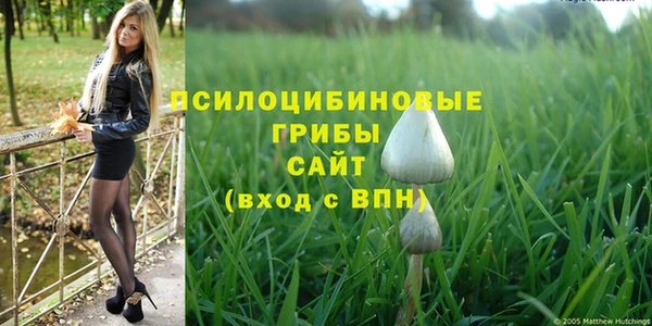 гидропоника Бугульма