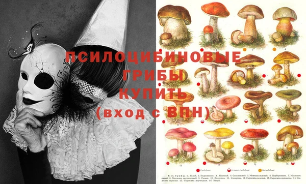 гидропоника Бугульма