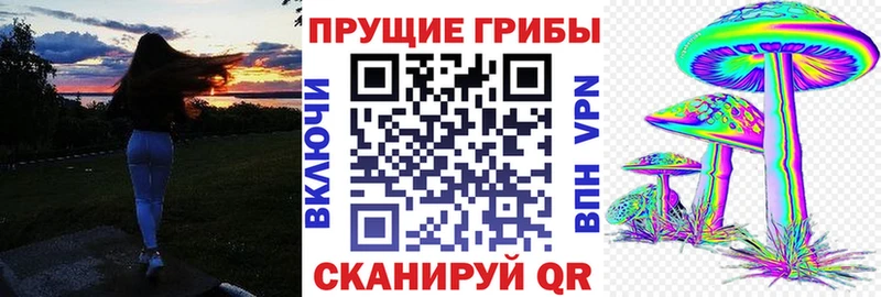 Псилоцибиновые грибы мухоморы  Купить где  Яранск 